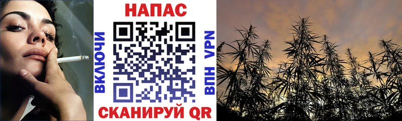 Шишки марихуана Amnesia Староминская